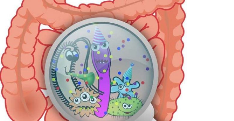 انواع مختلف فیبر چگونه بر روی میکروبیوم روده تأثیر می گذارند؟