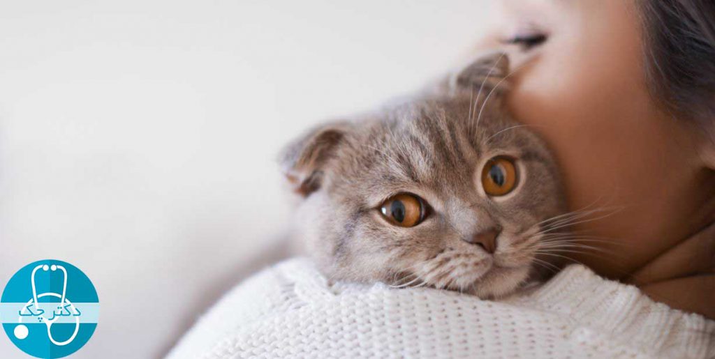 گربه ها با مراقبان خود دقیقا به اندازه نوزادان و سگ ها پیوند عاطفی بر قرار می کنند!