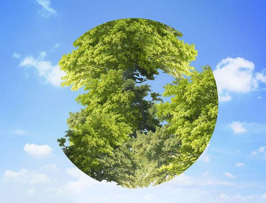 برای تو – 23 ایده کسب و کار سبز و ارگانیک و مفید برای محیط زیست (2021)