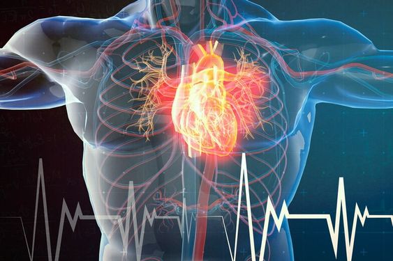 درمانی جدید برای نارسایی قلبی