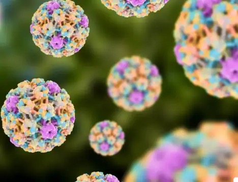 ویروس اچ پی وی (HPV) چیست؟ + راه درمان hpv
