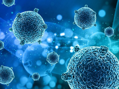 نقش سلول های ایمنی در تولید سلول ریه جنین