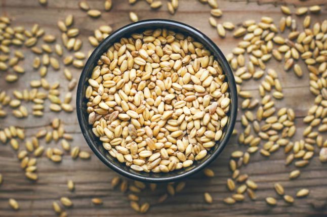 آیا نان چند غله واقعا مفیدتر از نان های دیگر است؟ – دکتر چک