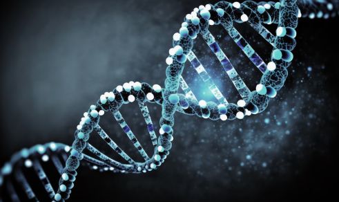 آلاینده ها و عوامل ژنتیکی، مقصر ابتلا به بیماری آندومتریوز