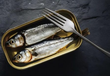 ماهی ساردین