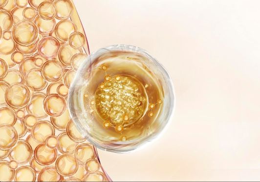 تامین انرژی از طریق تبدیل سلول های چربی