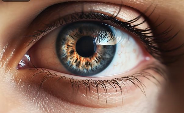 ویتامین A و هورمون های تیروئیدی چه نقشی در تقویت بینایی دارند؟